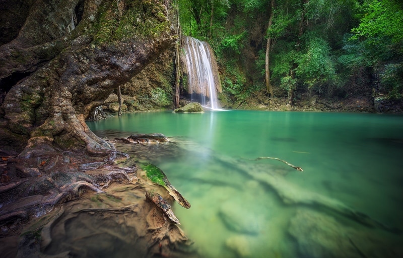 tree, rainforest, waterfall, long exposure, photo, no people, flowing, trees, forest, water, scenics - nature, waterfalls, flowing water, nature, land