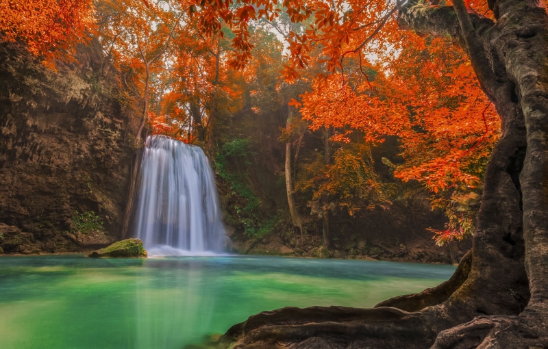 landscape, park - Man Made Space, vibrant Color, idyllic, river, beauty In Nature, change, nature, falling, illustration, leaf, thailand, national Park