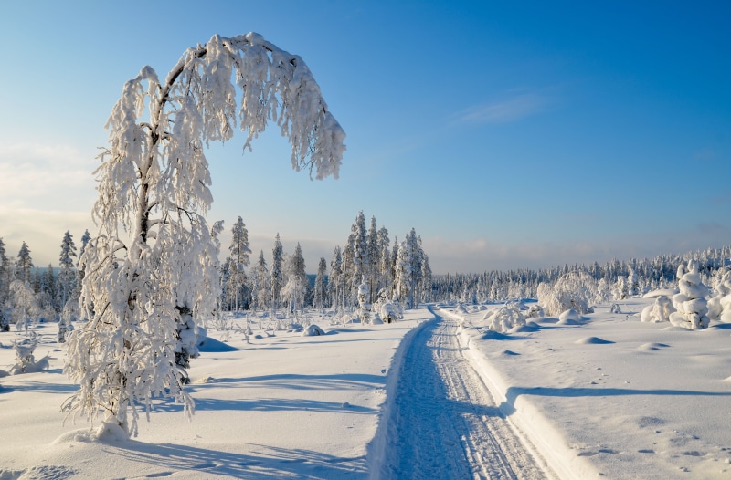 beauty in nature, sky, cold temperature, no people, nature, trees, covered, winter, covering, non-urban scene, environment, tree, landscape, tranquility