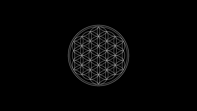 circle, Flower Of Life, 1080P, minimalism, symbols, black background, Sacred Geometry