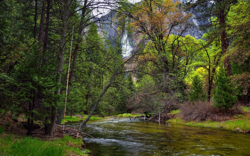 Yosemite Falls, tress, scenics, Yosemite National Park, forest, landscape, CA, water, Edited, Capture, river, green plants, outdoors, surrounded, tree