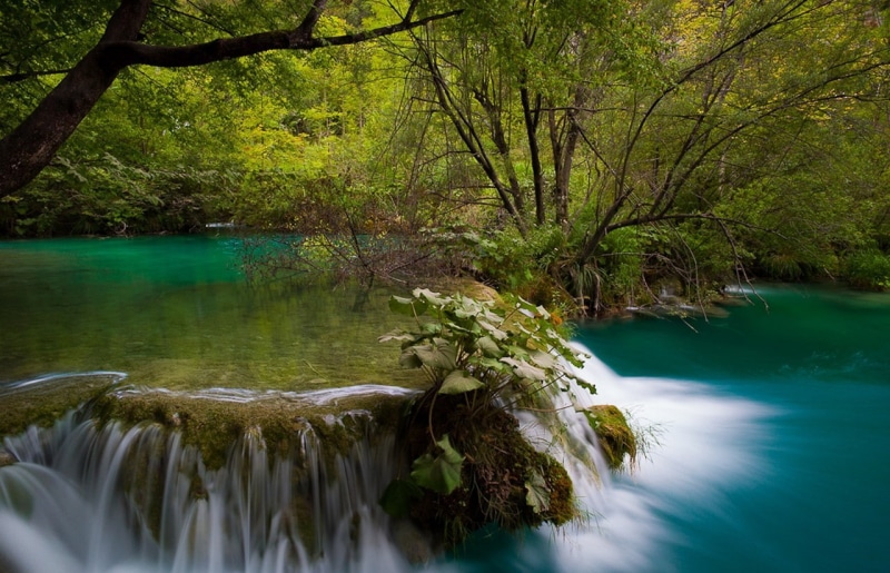 forest, shrubs, green, nature, Croatia, waterfall, turquoise, landscape, trees, Plitvice National Park, 720P, river