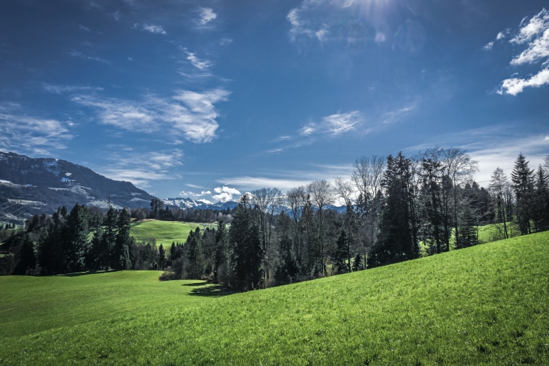 scenics, sky, meadow, countryside, summer, daytime, outdoors, european Alps, tree, trees, green, Blue  Sky, Canton Lucerne, grass field, field, landscape photography