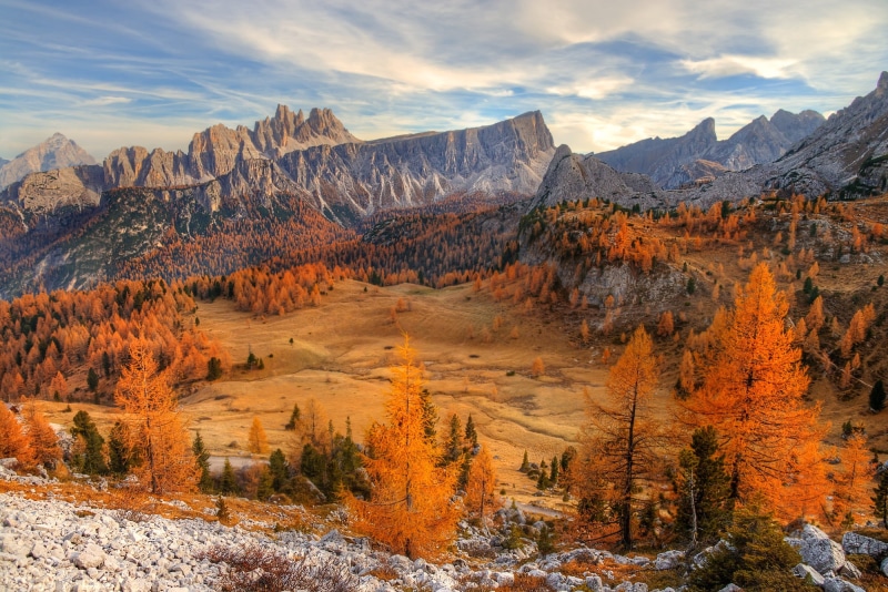 plant, mountain, tranquil scene, 1080P, ranges, idyllic, travel destinations, arid climate, landscape, rock, autumn, tranquility, no people, non-urban scene