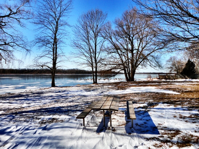 trees, nature, brown, outdoors, 480P, season, tree, cold - Temperature, table, frost, landscape, winter, wooden, bare, near, picnic, snow, snowfield, frozen