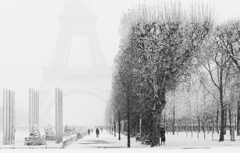 fog, Paris, black And White, tourism, built structure, day, people, travel destinations, snowing, light, nature, december, no people, history, treelined