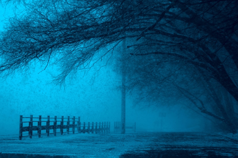 spooky, dark, 5K, woodland, plant, nature, park bench, cold - Temperature, no People, absence, scenics, snow, tree, tranquil scene, forest, barrier, evening