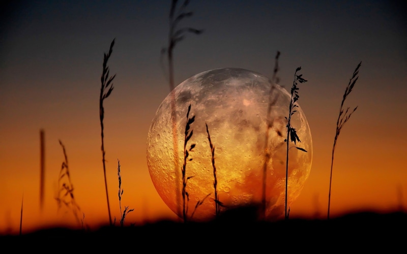 beautiful, moon, full, 1080P, gray, full moon