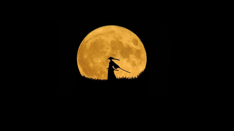 attraction, female, anime, art, geometric shape, one animal, katana, bright moon, digital, animated, dark, 4K, planetary moon, killer, graphic, beauty in nature