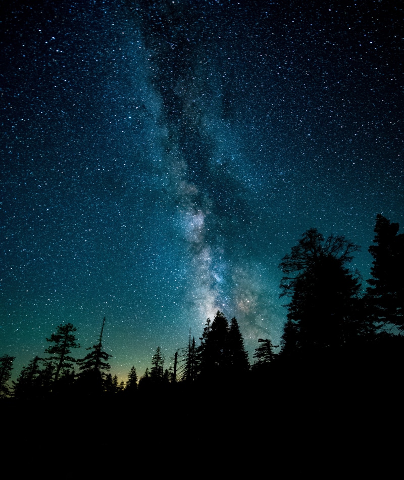 star, sky, tranquility, idyllic, no people, growth, tree, way, landscape, photo, trees, space, milky way, tranquil scene, astronomy, silhouette