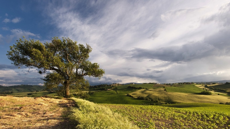 1080P, hd image of nature for pc 1920x1080