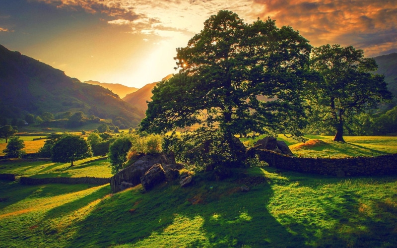 plant, green color, land, tranquil scene, no people, cloud - sky, naturaleza, sky, tranquility, nature, beauty in nature, 1080P, landscape, outdoors, amanecer
