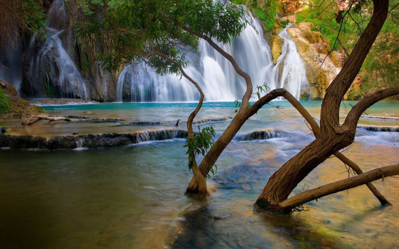 arboles, paisaje, 720P, rio, naturaleza