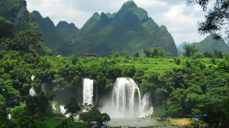 4K, selva, naturaleza, cataratas, paisaje