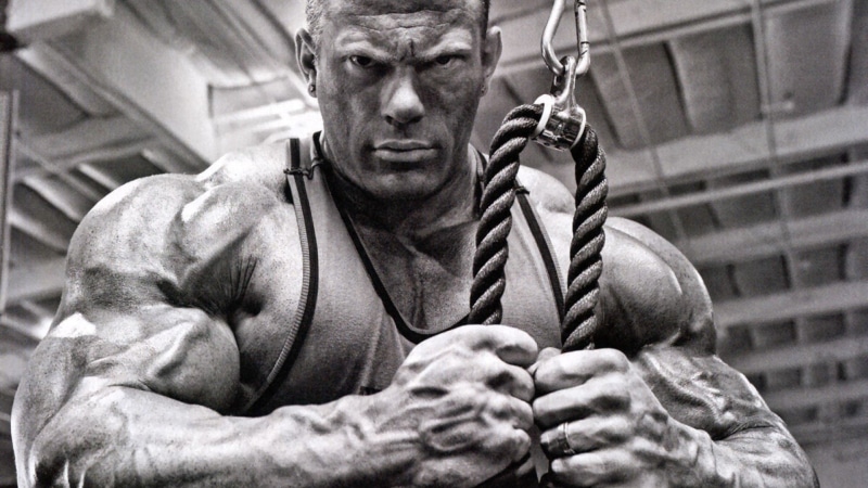 muscle, 1080P, body building, bodybuilding, fitness, muscles, weight, lifting