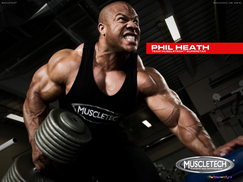 bodybuilding, muscle, weight, body building, muscles, fitness, lifting, 1080P