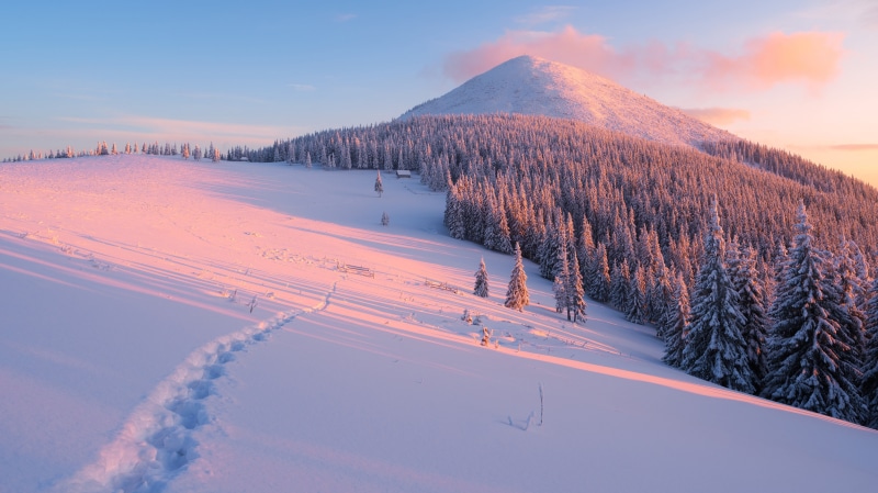 mountain, woodland, sunlight, dawn, environment, winter, season, outdoors, fir Tree, covering, top, sun, shadows, path, sunset, scenics, tranquility, landscape