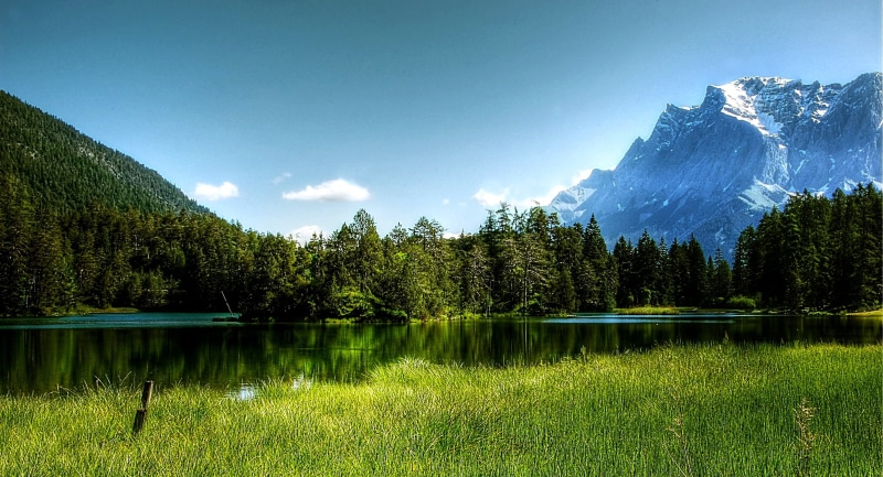 lake, reflection lake, idyllic, outlook, mountains, environment, pine, zugspitze, summit, mountaineering, trees, pine woodland, alpine, tree, mountain