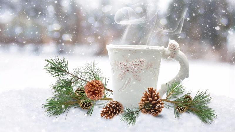 christmas decoration, pine, fir, drink, pine family, winter, evergreen, coffee, cafe, branch, tree, conifer, steam, snowing, mug, twig, christmas, snow