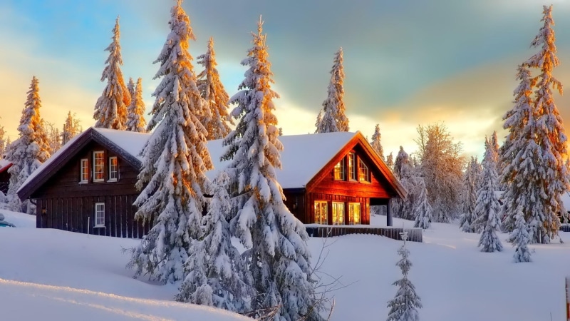 frost, house, home, sky, conifer, log cabin, winter, scene, snowy, 1080P, morning, snow, december, tree, freezing, pine, fir, spruce