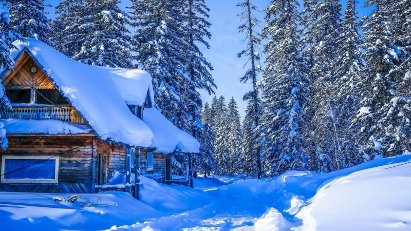 pine, 1080P, snow, house, conifer, winter, khabarovsk krai, frost, tree, alps, nature, log cabin, russia, fir, sky, snowy