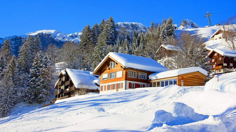 pine tree, home, house, outdoors, log cabin, freezing, building exterior, day, chalet, mountain, scenics - nature, hut, mountain range, sky, beauty in nature