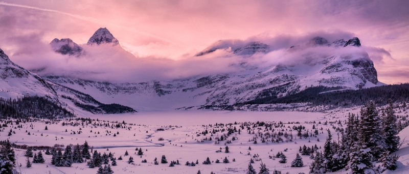 clouds, Canada, black, photography, scenics - nature, snowcapped mountain, panorama, 720P, mountain range, white, forest, coniferous tree, pine woodland