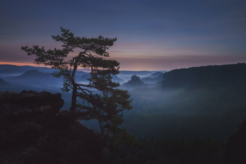 rock, Mist, Sunrise, Sachsen, Dawn, forest, tree, Fog, Saxony, Germany, morning, scenics, Explore, foggy, 4K, rock formation, formation, Natur, mountain