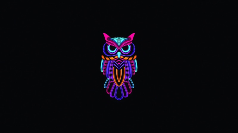 owl, 1080P, birds, artwork, animals, simple background