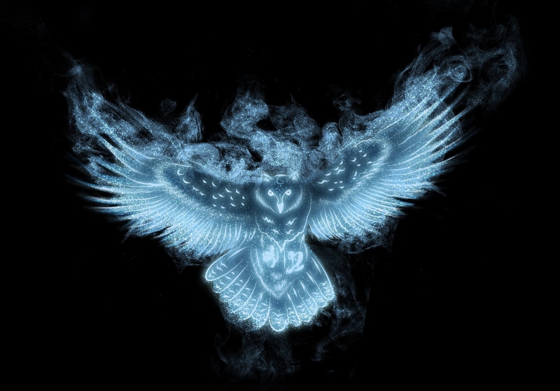 underwater, dark, nature, shape, light, illustration, motion, holiday, backgrounds, glowing, cnidarian, studio shot, science, night, owl, black background