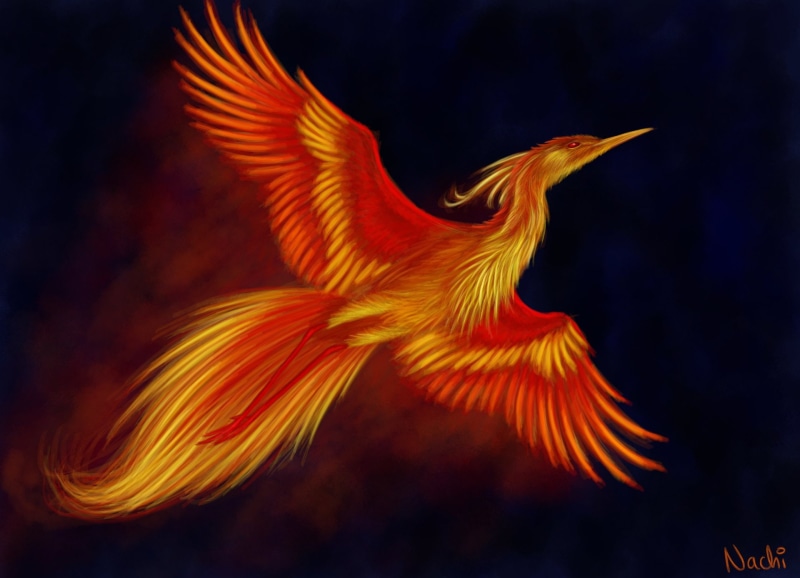 Phoenix, Wings, Fantasy Animals, Bird, 1080P, Flight