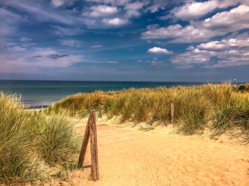 beauty in nature, outdoors, sea, nature, tranquil scene, beach, marram grass, ahrenshoop, land, sky, day, wooden post, baltic sea holiday, darß, northern germany