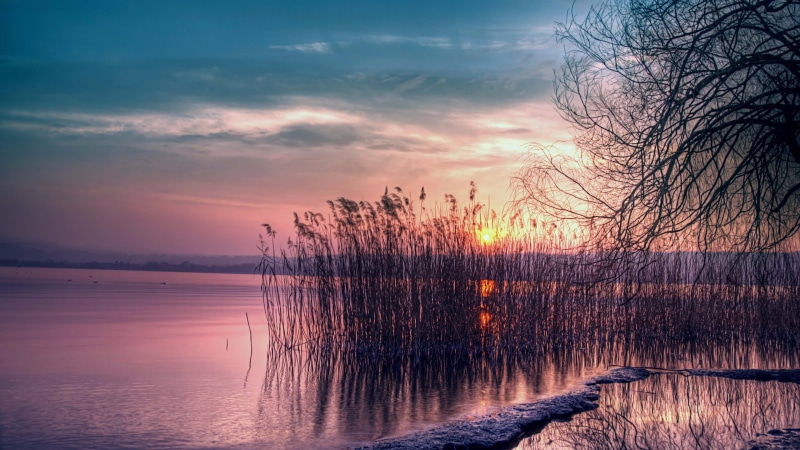 idyllic, water, land, tranquility, sunset, purple sky, no people, non-urban scene, sky, reeds, nature, horizon, dusk, 4K, scenics - nature, outdoors, lakeside