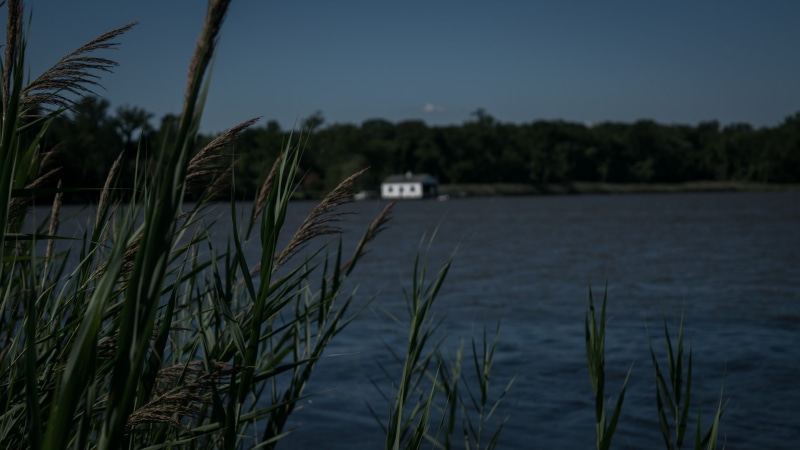 nature, blade of grass, 4K, no people, tree, focus on foreground, beach, river, land, water, growth, outdoors, day, grass, scenics - nature, lake, plant