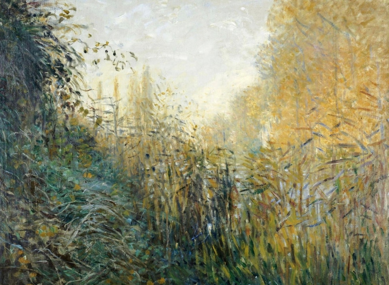 Claude Monet, The reeds, nature, picture, 1080P