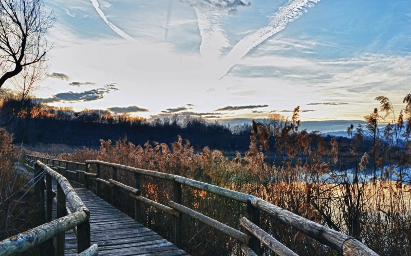 cloud - sky, railing, transportation, direction, landscape, no people, reeds, wooden bridge, tranquil scene, non-urban scene, scenics - nature, beauty in nature