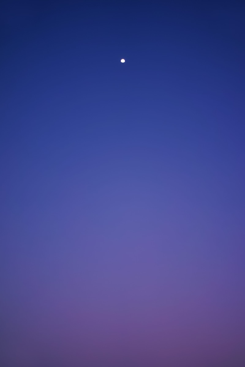 clear sky, beauty in nature, vertical, sky, 5K, scenics - nature, spectrum, low angle view, half moon, moonrise, rise, copy space, crescent