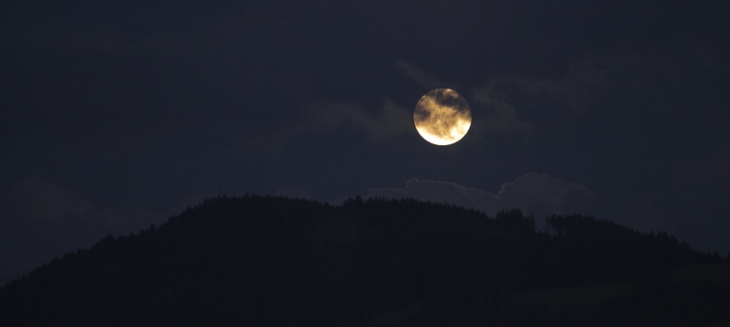 black, astronomy, tranquil scene, scenics - nature, spooky, eclipse, tranquility, beauty in nature, sky, night, no people, tree, cloud - sky, planetary moon