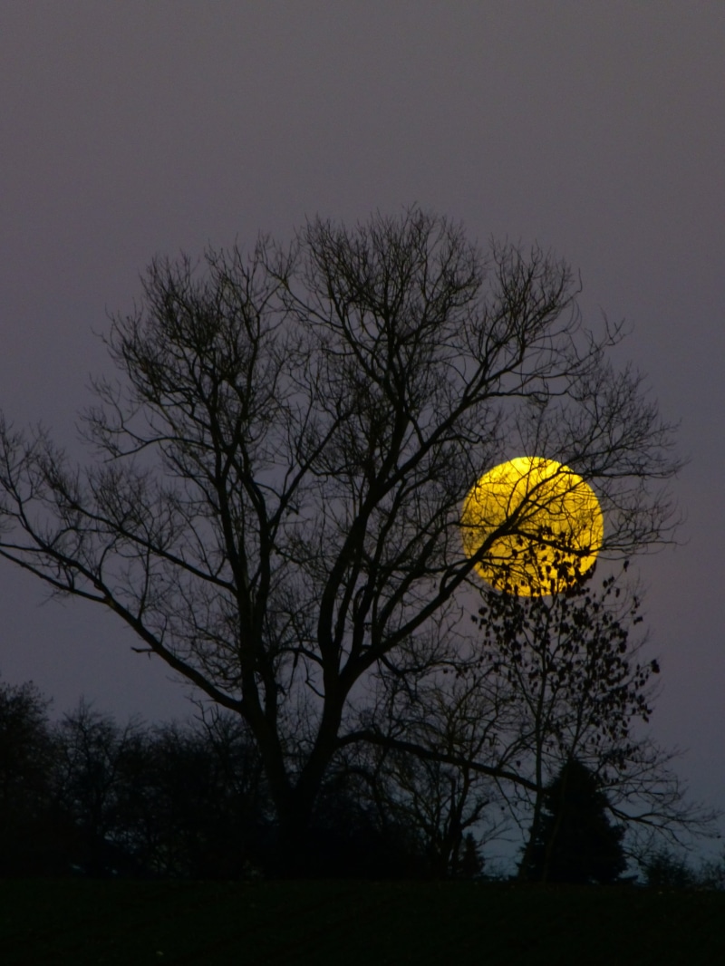 evening, yellow, beauty in nature, tranquility, sky, full moon, land, atmosphere, moonlight, no people, dusk, field, night, communication, 4K, nature