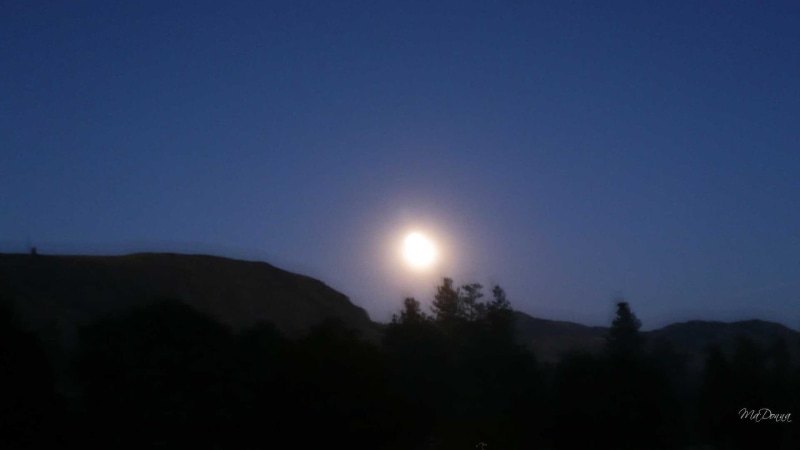 moonrise, winthrop, widescreen, moon trees, night, evening, 3d and abstract, moon, 1080P, horion