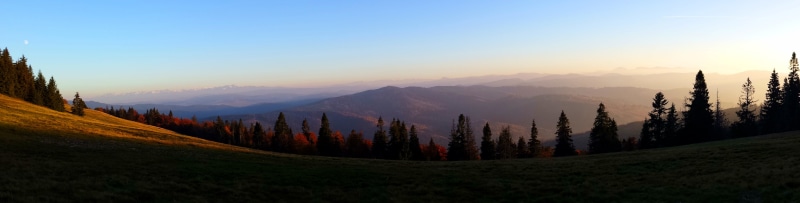 forest, scenics, hiking, outdoors, mountain, pine tree, sky, silhouette, panorama, tops, meadow, beskids, tranquility, panoramic, hill, trees, tranquil scene