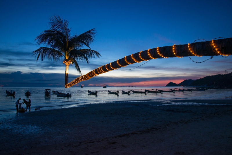 palm, near, photo, sunset, thailand, people, Unconventional, pink, island, palm tree, ocean, tree, beach, travel, boats, fishermen, string, night, purple
