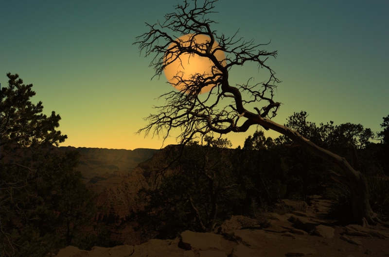 darken, vegetation, station, branch, night, nature, rock - object, solid, tree, 4K, beside, light, rock, sky, blue sky, sunset, no people, outdoors, beauty in nature