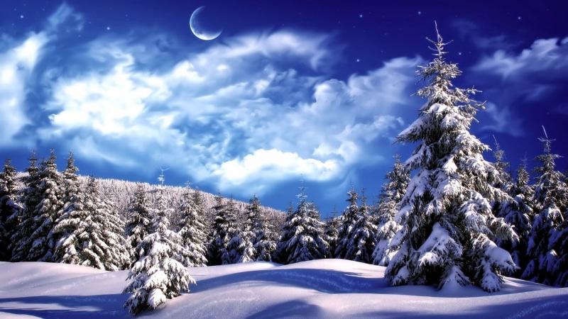 conifer, covering, coniferous tree, plant, white color, moonlit, no people, tranquil scene, sky, snowcapped mountain, frozen, luna, moonlight, winter, blue
