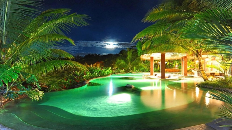 tropical tree, hotel, illuminated, lagoon, no people, swimming pool, trip, tropical climate, green, pool, wealth, moonlit, palm tree, tree, water, night