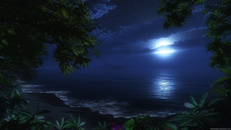 1920x1080, 1080P, nature, desktop, Moonlit Beach