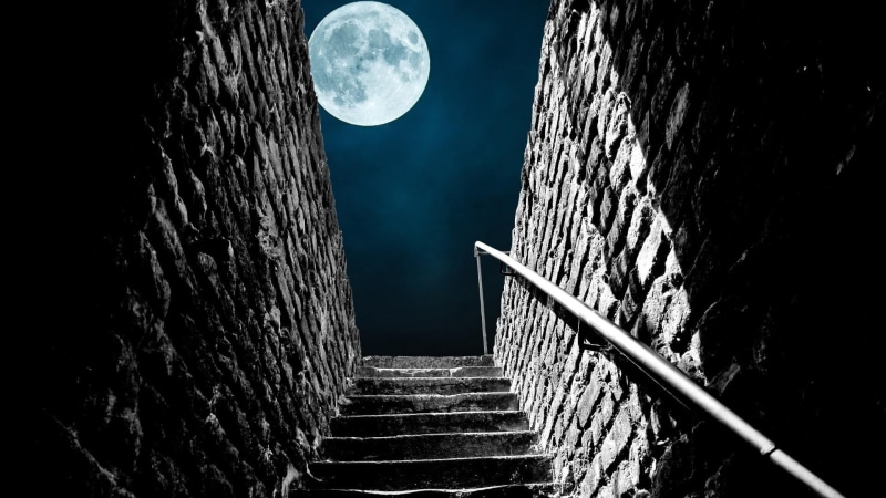 no people, steps and staircases, tree, the way forward, nature, building exterior, darkness, moonlight, moon, outdoors, railing, light, astronomy, midnight