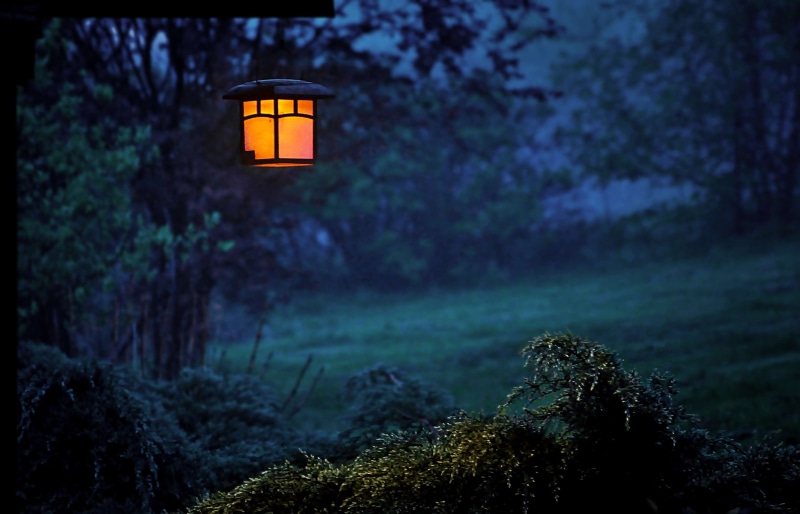 dark, land, foggy, lighting equipment, plant, architecture, scenics - nature, beauty in nature, evening, trees, eerie, environment, green color, cold, electric lamp
