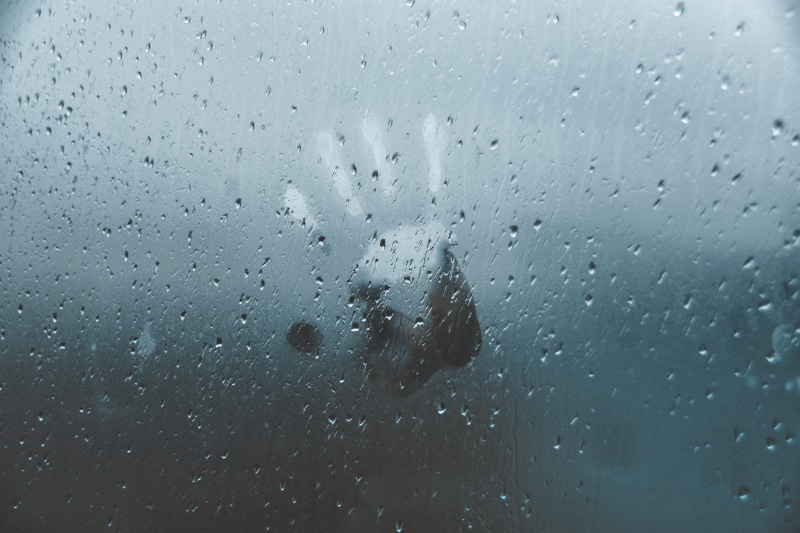 no People, nature, print, windshield, imprint, rainy day, drop, textured, abstract, wet, figure, transparent, glass, raindrop, outdoors, moody, backgrounds