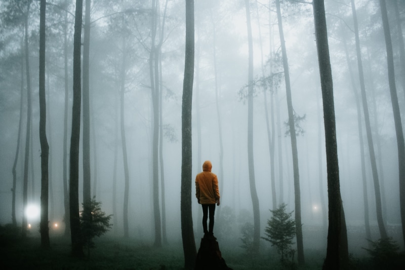 tranquility, alone, standing, looking out, moody, lifestyles, from behind, woodland, hairstyle, land, lost, rock, boulder, lights, forest, dark, scary